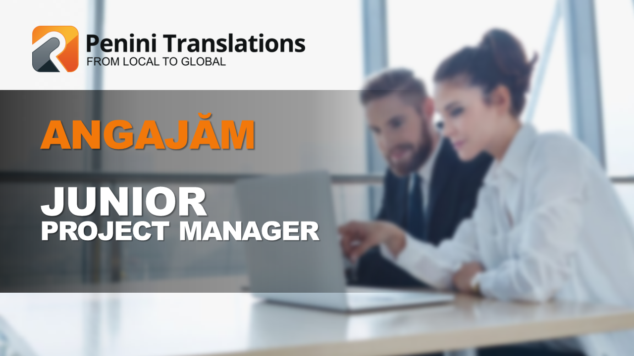 Junior Project Manager (on-site în Timișoara)